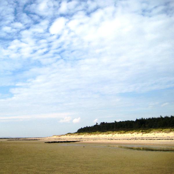 Föhr