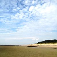 Föhr