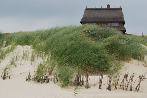 Amrum